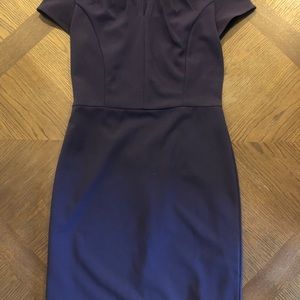 banana republic, womens 2, fully lined knee length dress, purple
